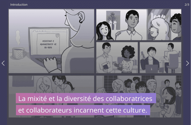 Diversity and inclusion in workplace, État Vaud