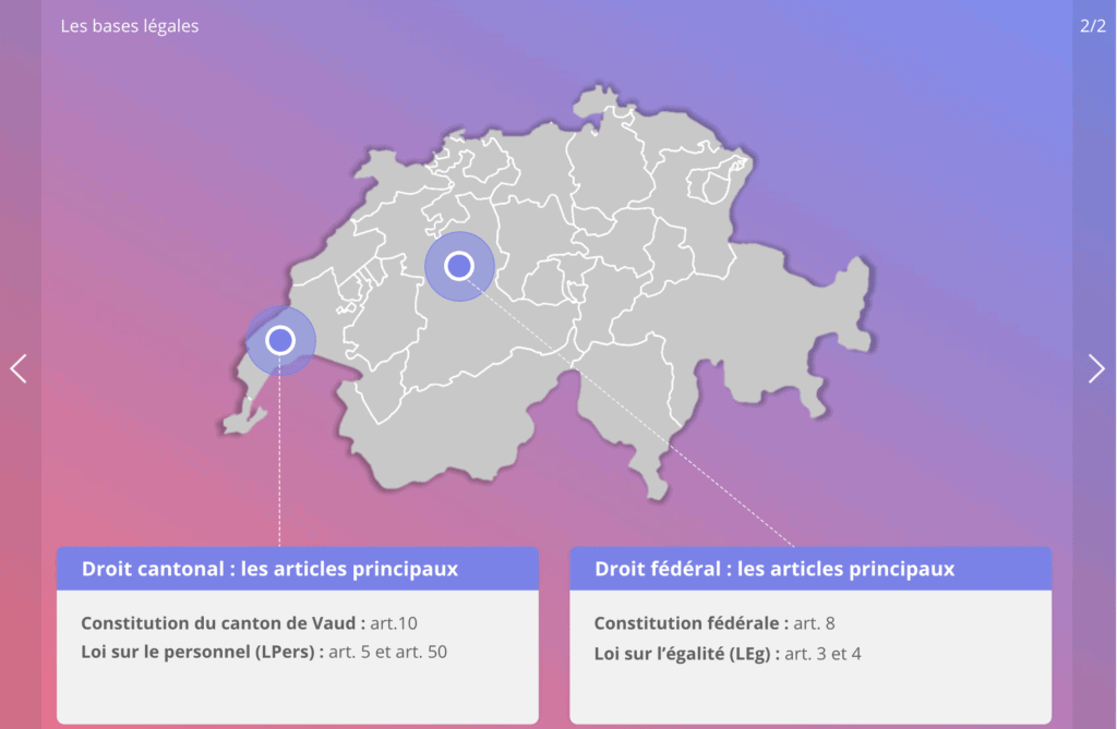 Diversity and inclusion in workplace, État Vaud