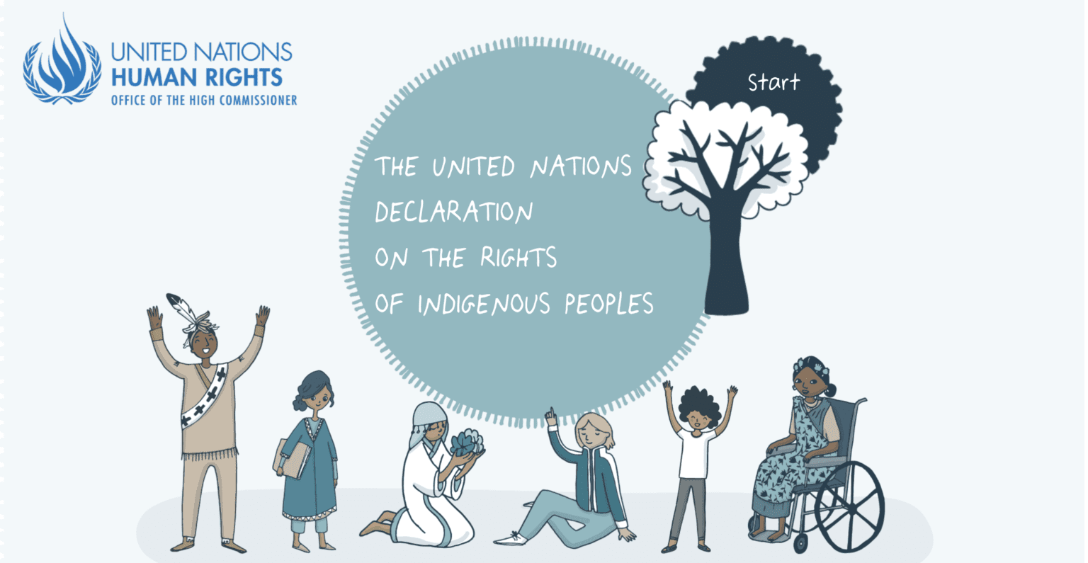 Droits des peuples. autochtones, eSkills, OHCHR