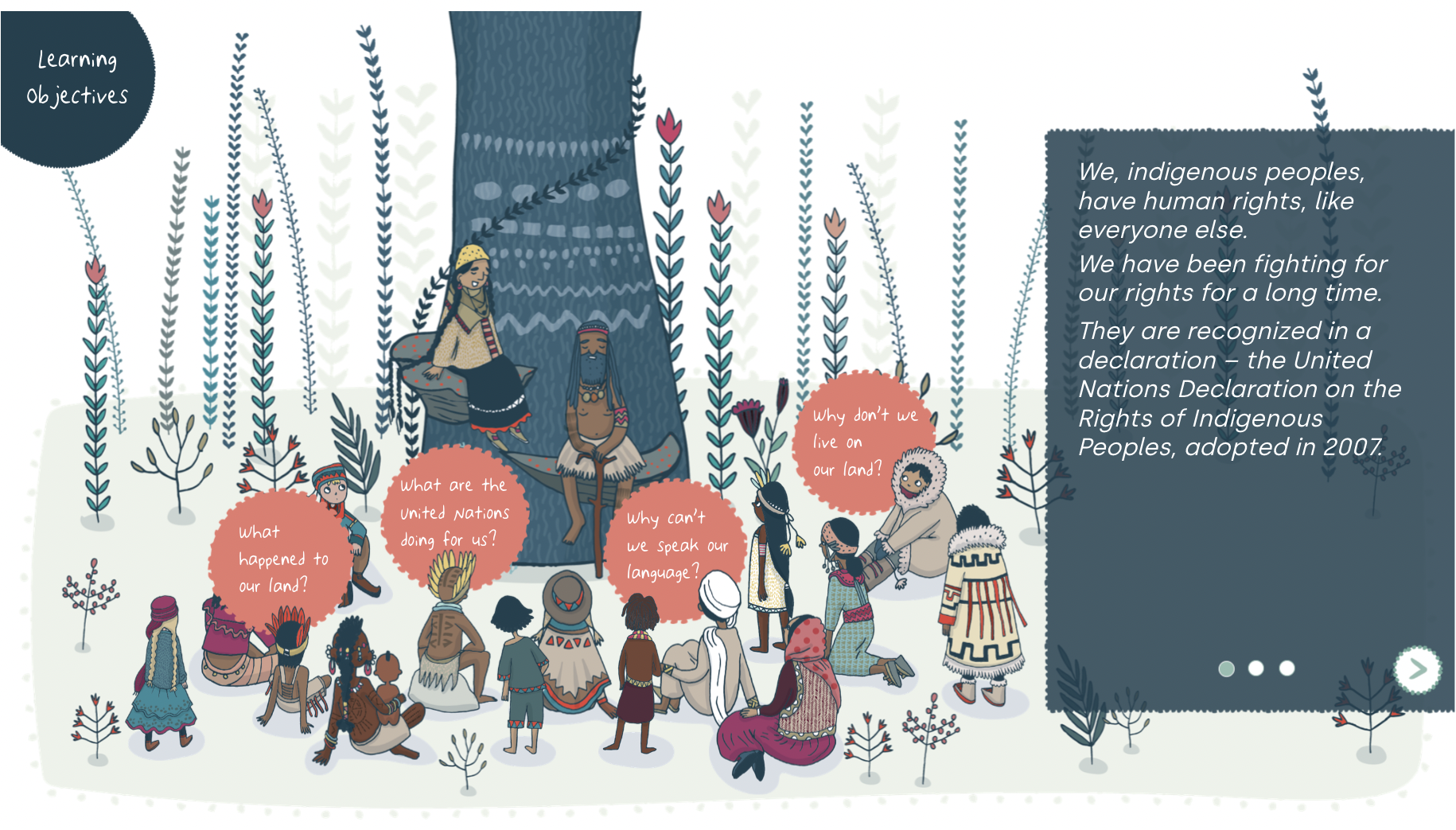 Exemples d’images du module Droits des peuples autochtones, réalisé pour OHCHR