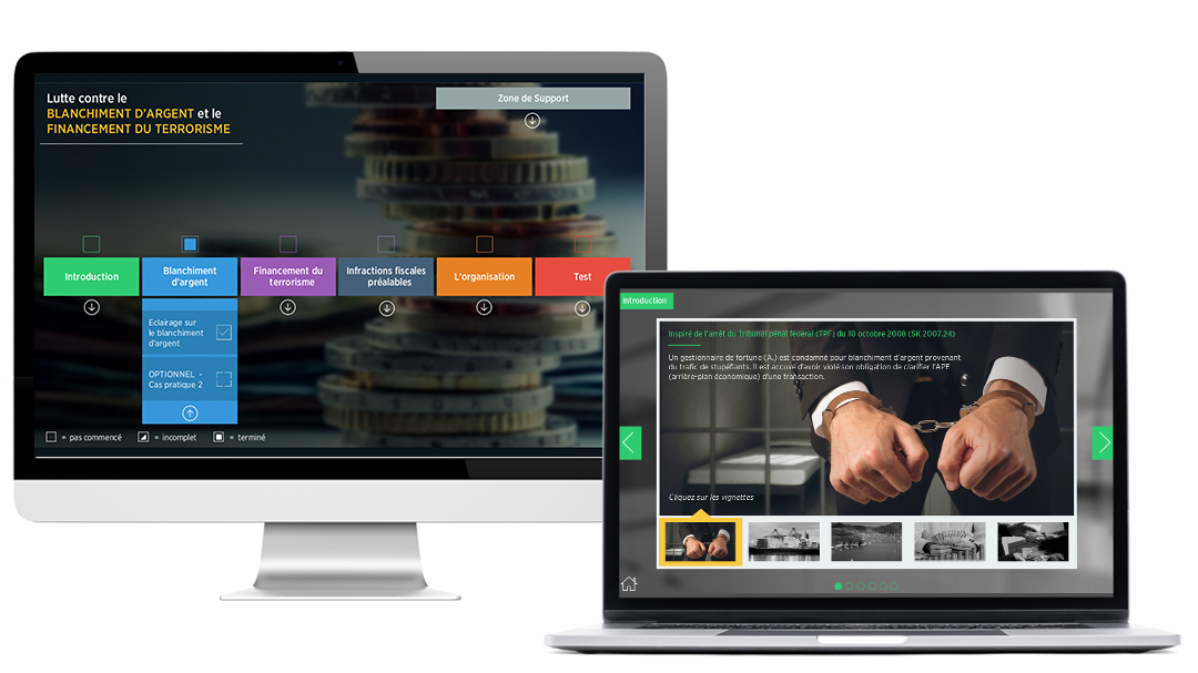 Sample images of the Anti-Money Laundering and Combating the Financing of Terrorism project for a private bank, on a computer.