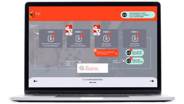 Examples of images of the DIP module, created for the State of Geneva, on a computer
