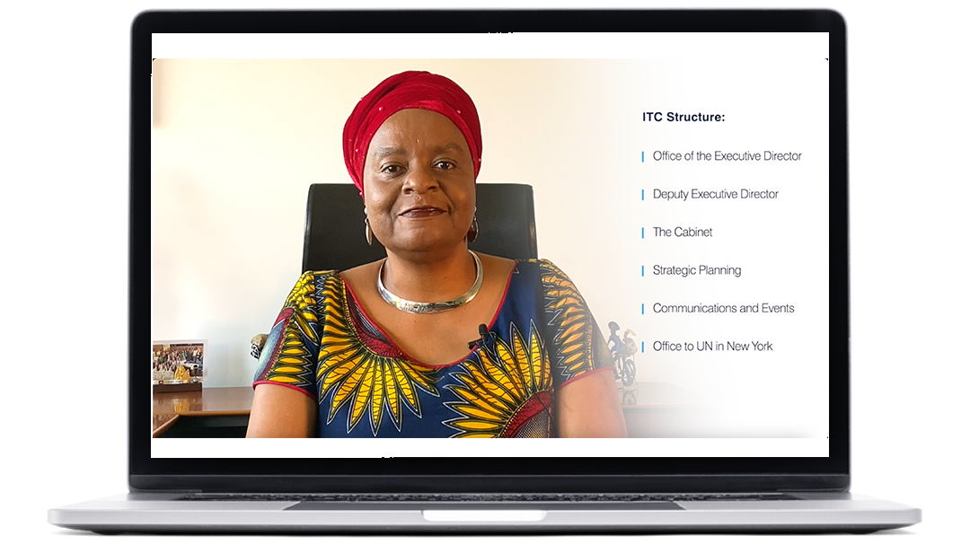 Exemples d’images de vidéos réalisées pour ITC, sur ordinateur