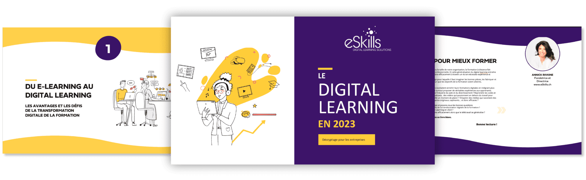 Illustration of the eSkills white book