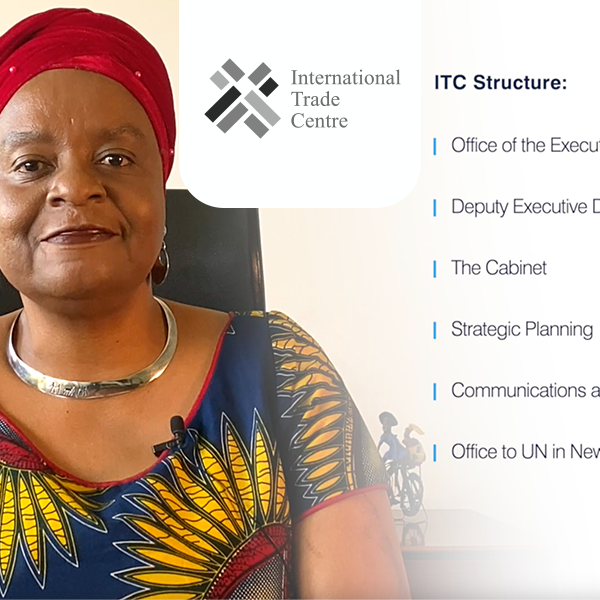 Vignette du projet sur-mesure : ITC - Tutoriels et vidéos de présentation