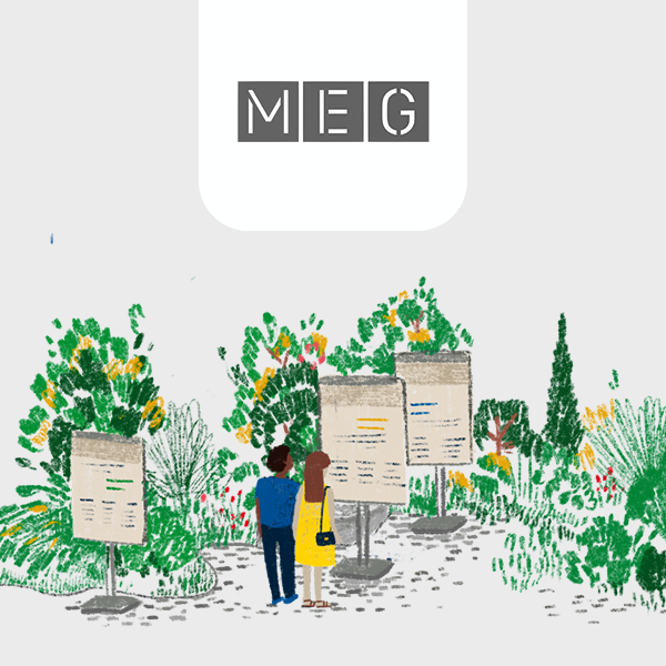 Formation digitale développement durable