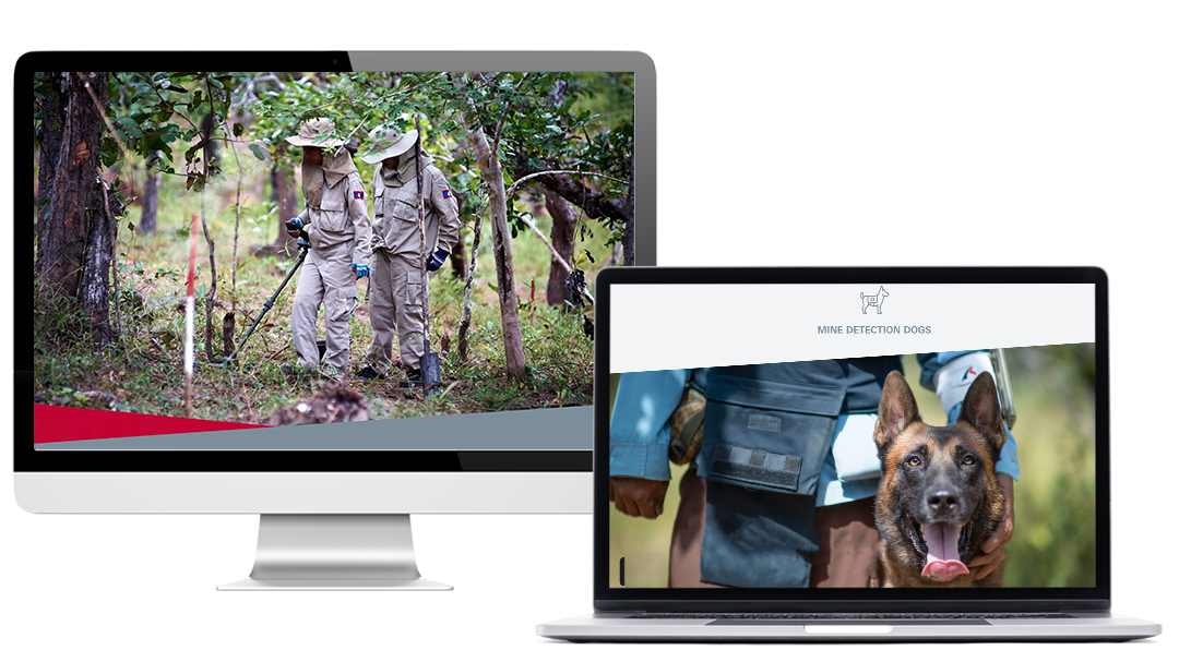 e-learning pour le gichd imaginé et réalisé pas eskills